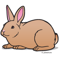Rabbit Clip Art Images