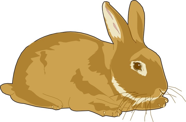 Top rabbit clip art free clipart image