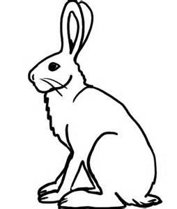 Free Arctic Hare Cliparts, Download Free Clip Art, Free Clip
