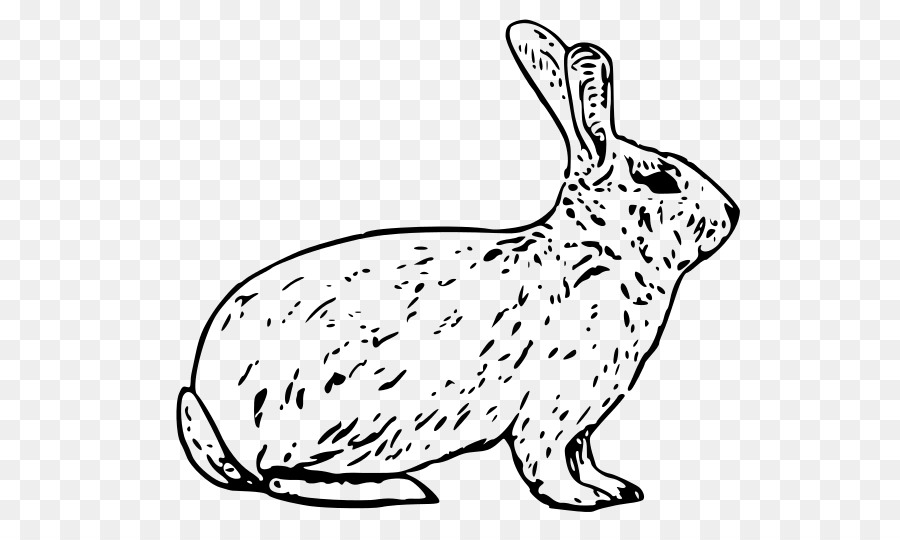 free clipart rabbit arctic hare