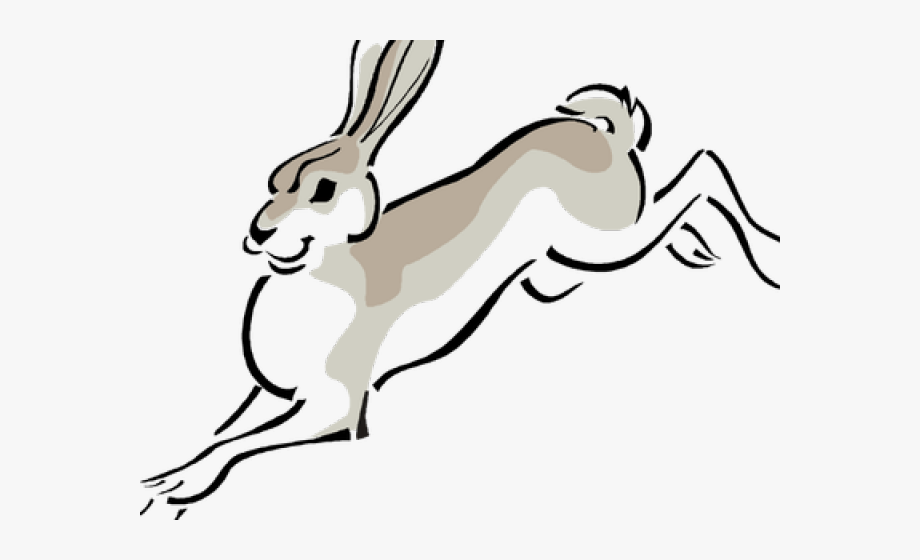 Arctic Hare Clipart Free Clip Art Stock Illustrations