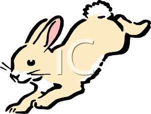 Cream Colored Jumping Rabbit