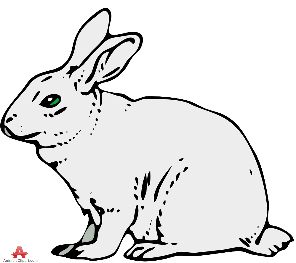 Кролик черно белый рисунок