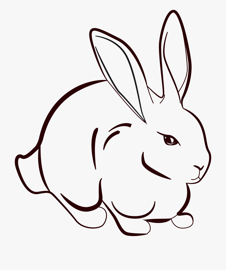Drawn Bunny Khargosh