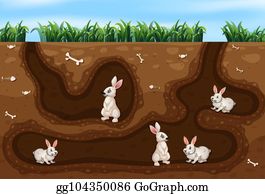 Rabbit Family Clip Art
