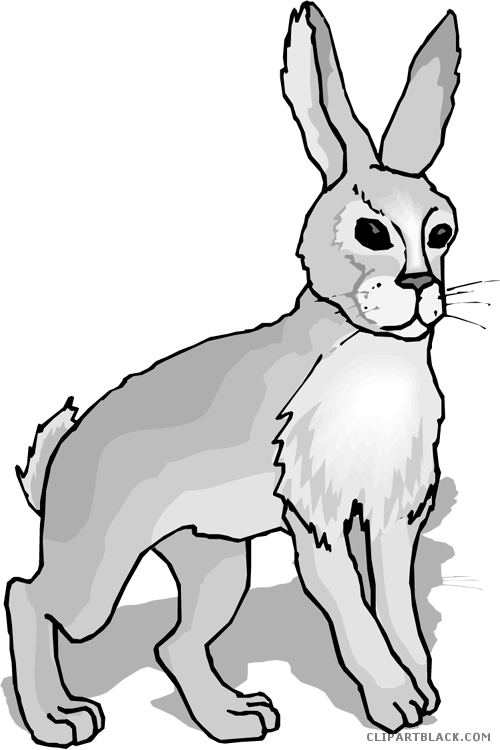 Clipart rabbit gray.