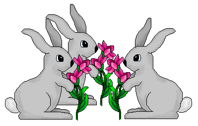 Free images rabbit.