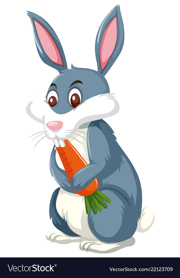 Cute grey bunny eating carrot
