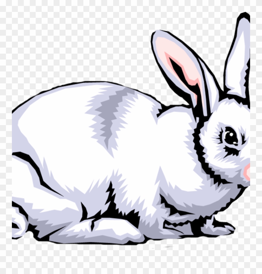 Rabbit Clipart Free Rabbit Clip Art Images Clipart