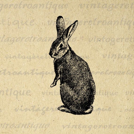 Digital Image Rabbit Graphic Bunny Printable Easter Spring