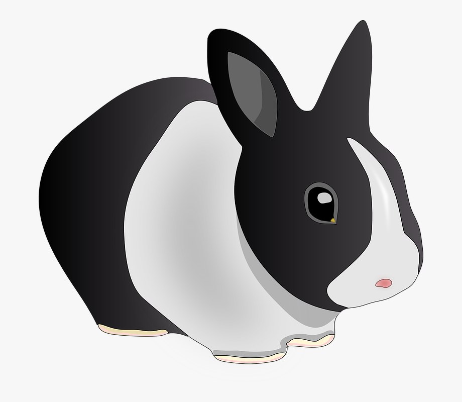 Animal Black And White Free Vector Graphic