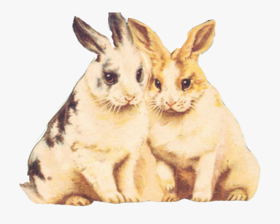 Rabbit Clipart Printable