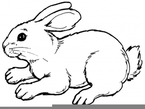 Clipart running rabbit.