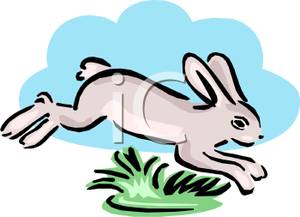 Rabbit running clipart.