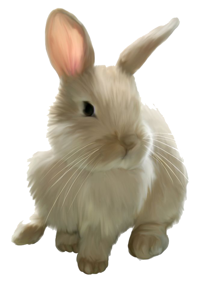 Easter Bunny Rabbit Clip art