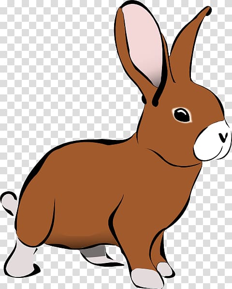 Rabbit Free content , Rabbit transparent background PNG