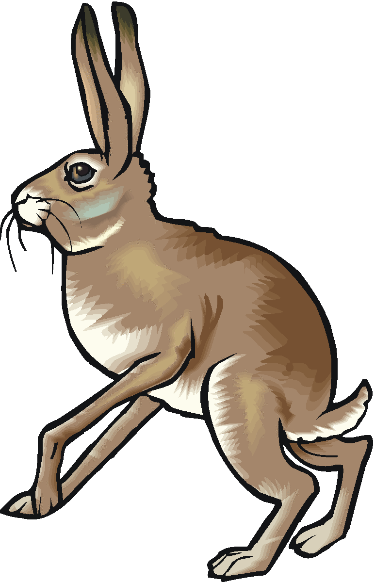 Rabbit Running Clipart