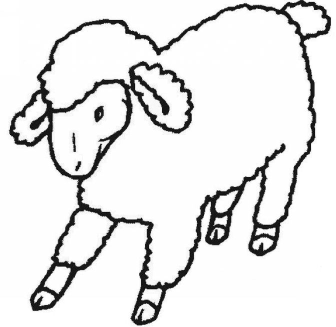 Sheep coloring sheet.