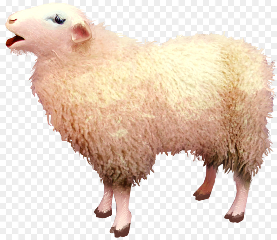 Download Free png Sheep Goat Clip art Goat png free download