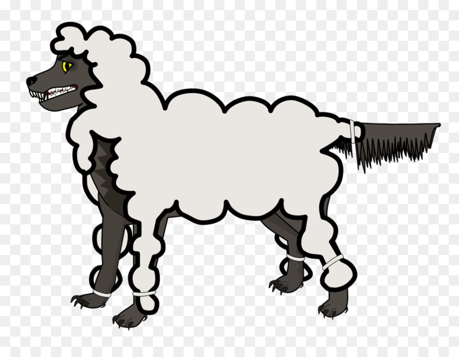 Gray wolf Wolf in sheep