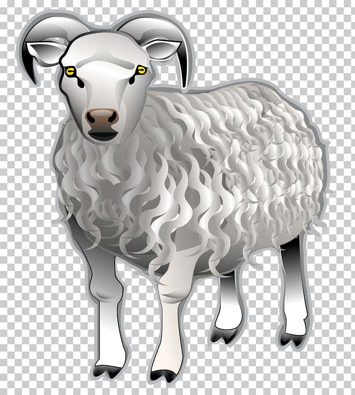 Bighorn sheep sheep.