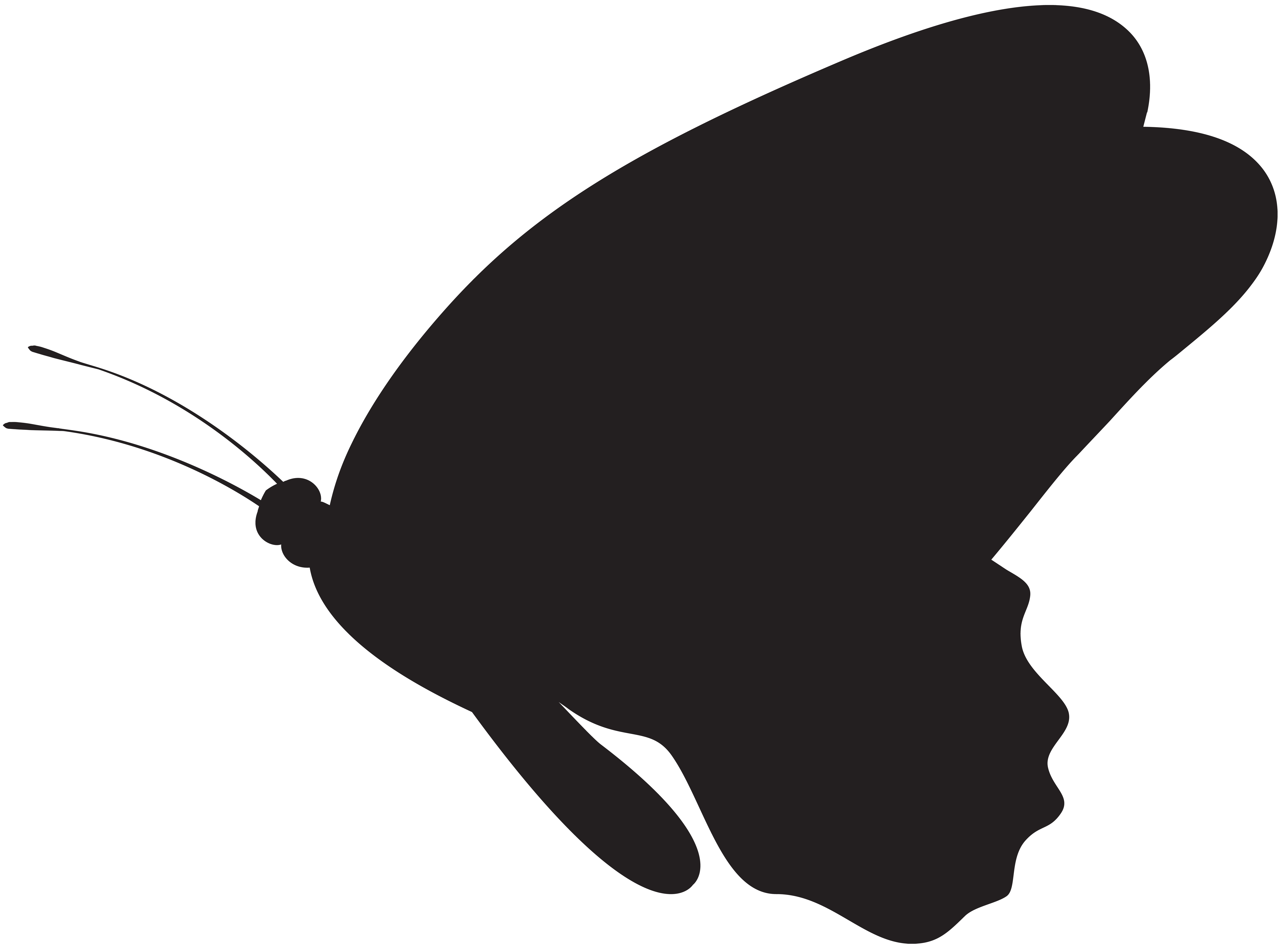 Butterfly silhouette png.