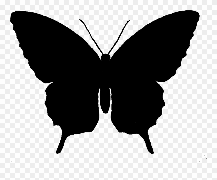 Butterfly silhouette getdrawings.