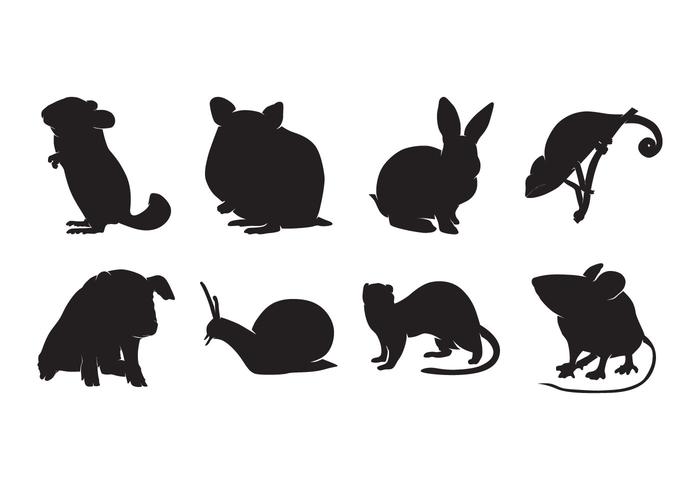 Animal pet silhouettes.