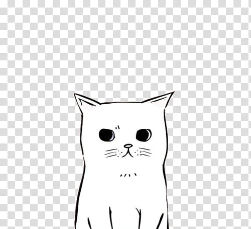 II Free Use, white and black cat illustration transparent