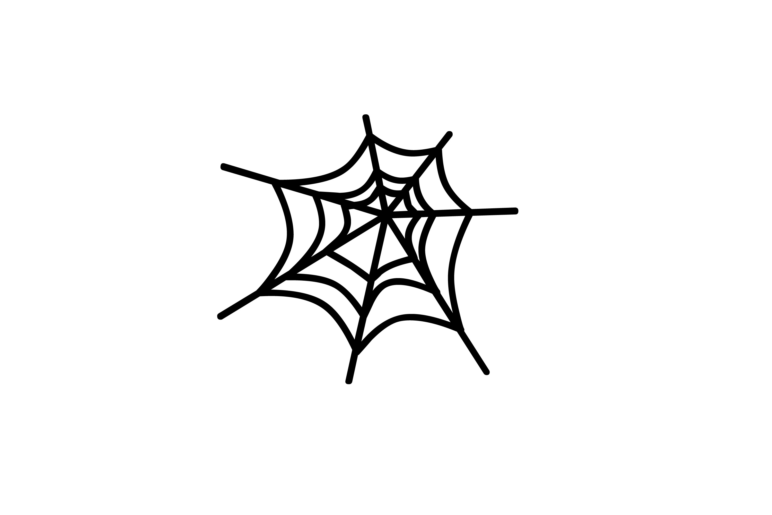 Spider web border.