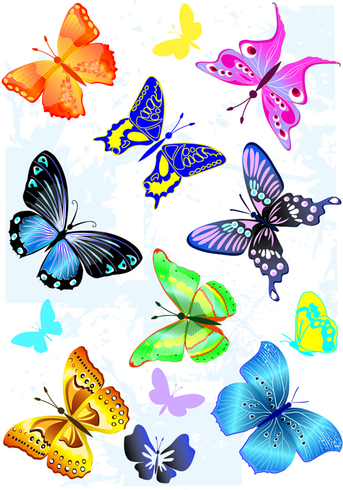 Sorts of butterflies clip art vector material
