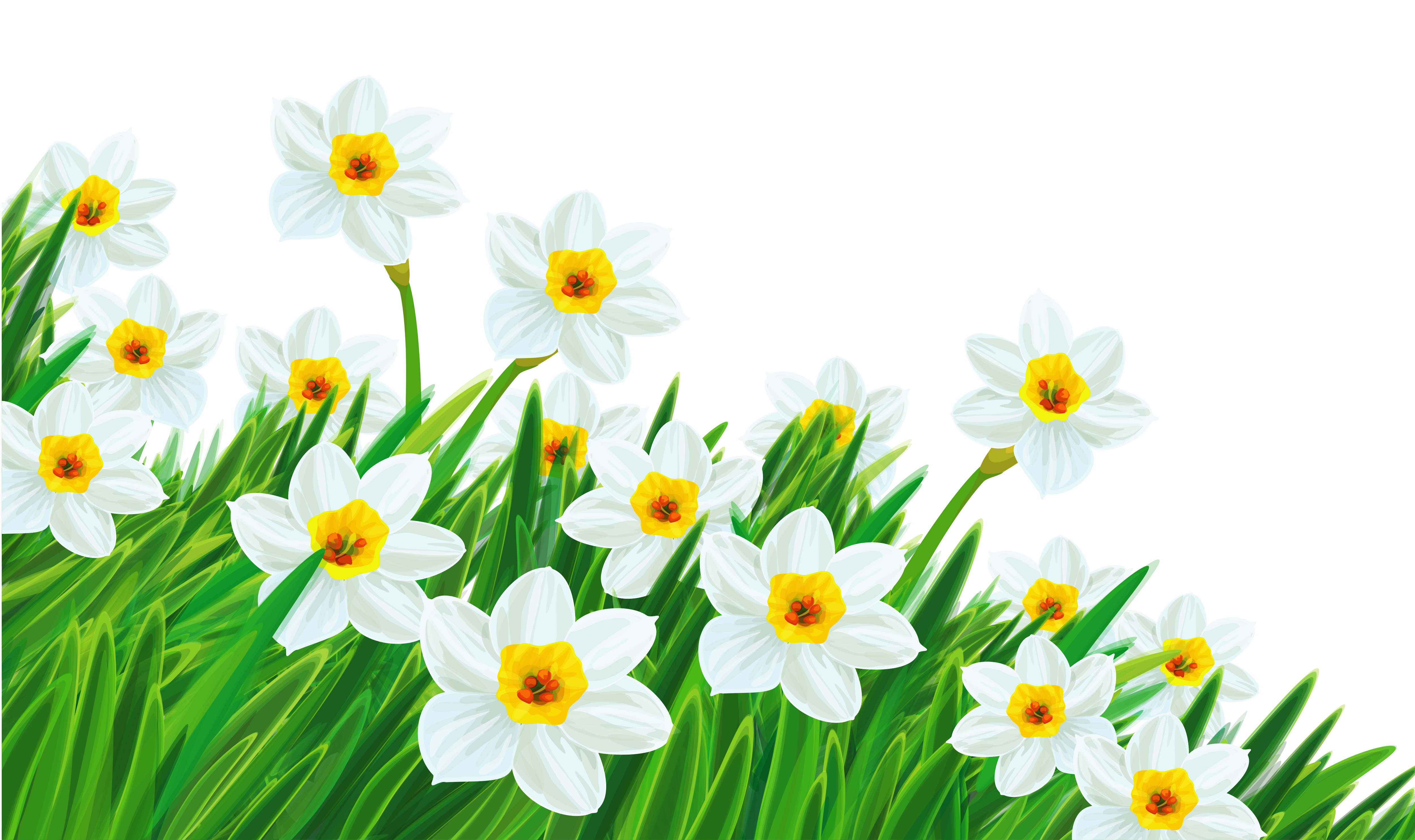 Free Transparent Spring Cliparts, Download Free Clip Art