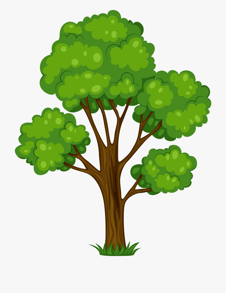 Oak Tree Tree Clip Art Free Clipart Image Clipart Image