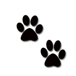 Dog Paw Print Clip Art Free Download