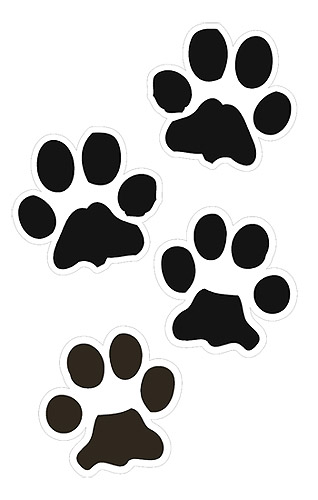 Dog paw print.