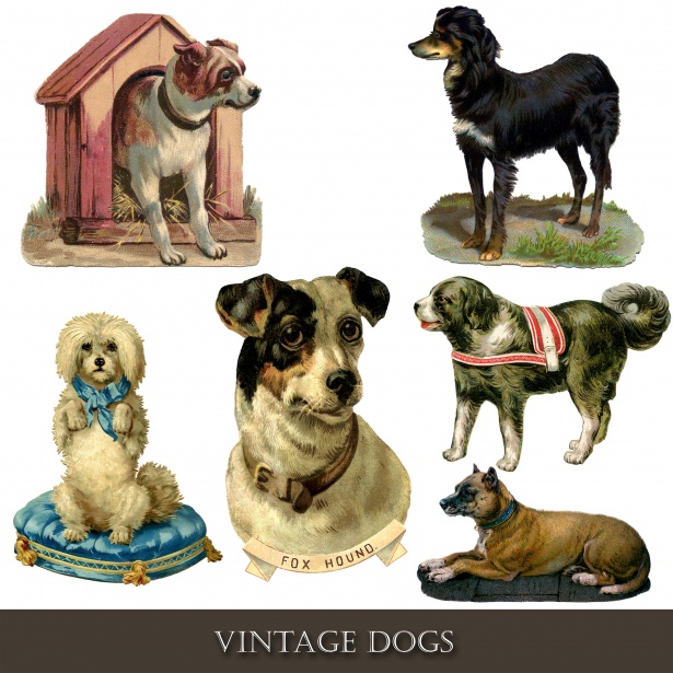 Vintage dogs clipart.