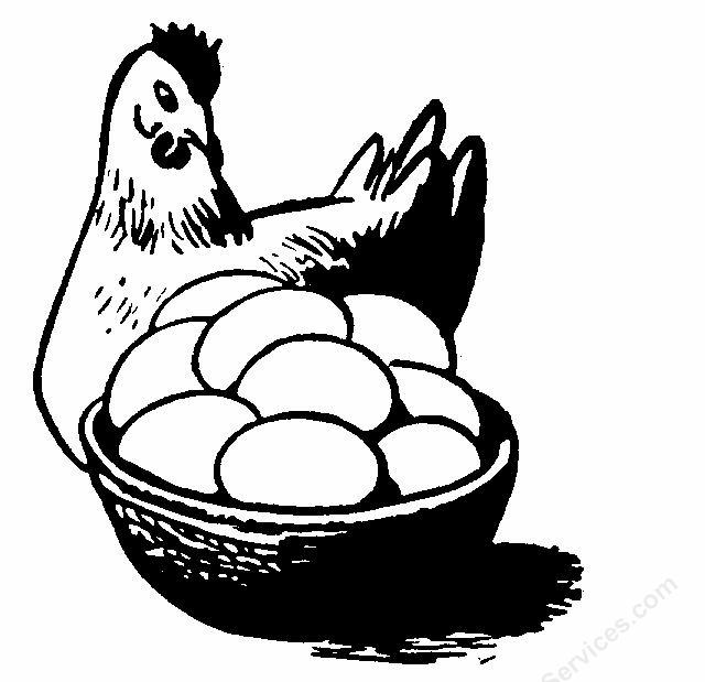 Chicken Egg Clipart