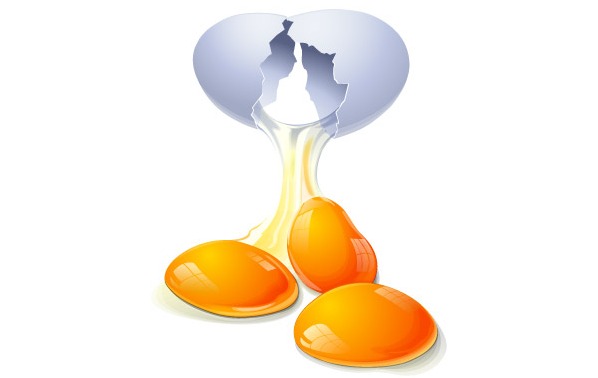 Free Yolk Cliparts, Download Free Clip Art, Free Clip Art on
