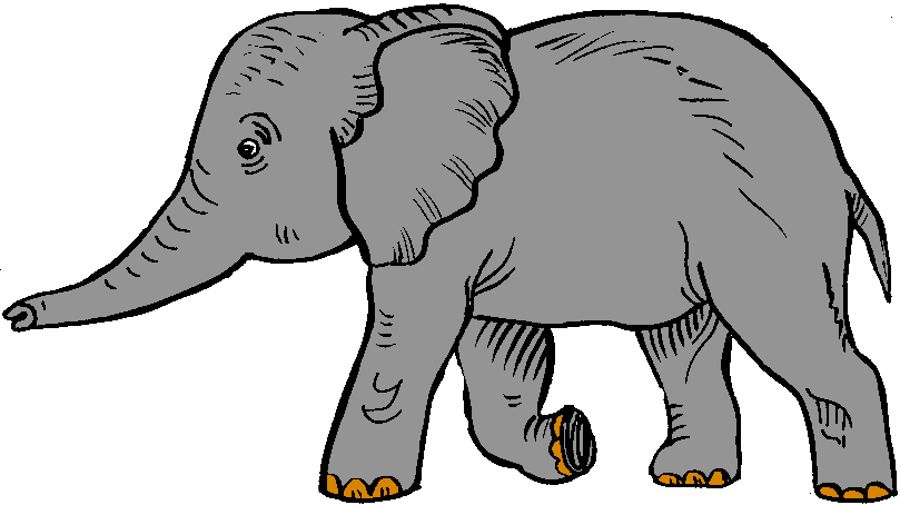 Free Elephant Cliparts, Download Free Clip Art, Free Clip