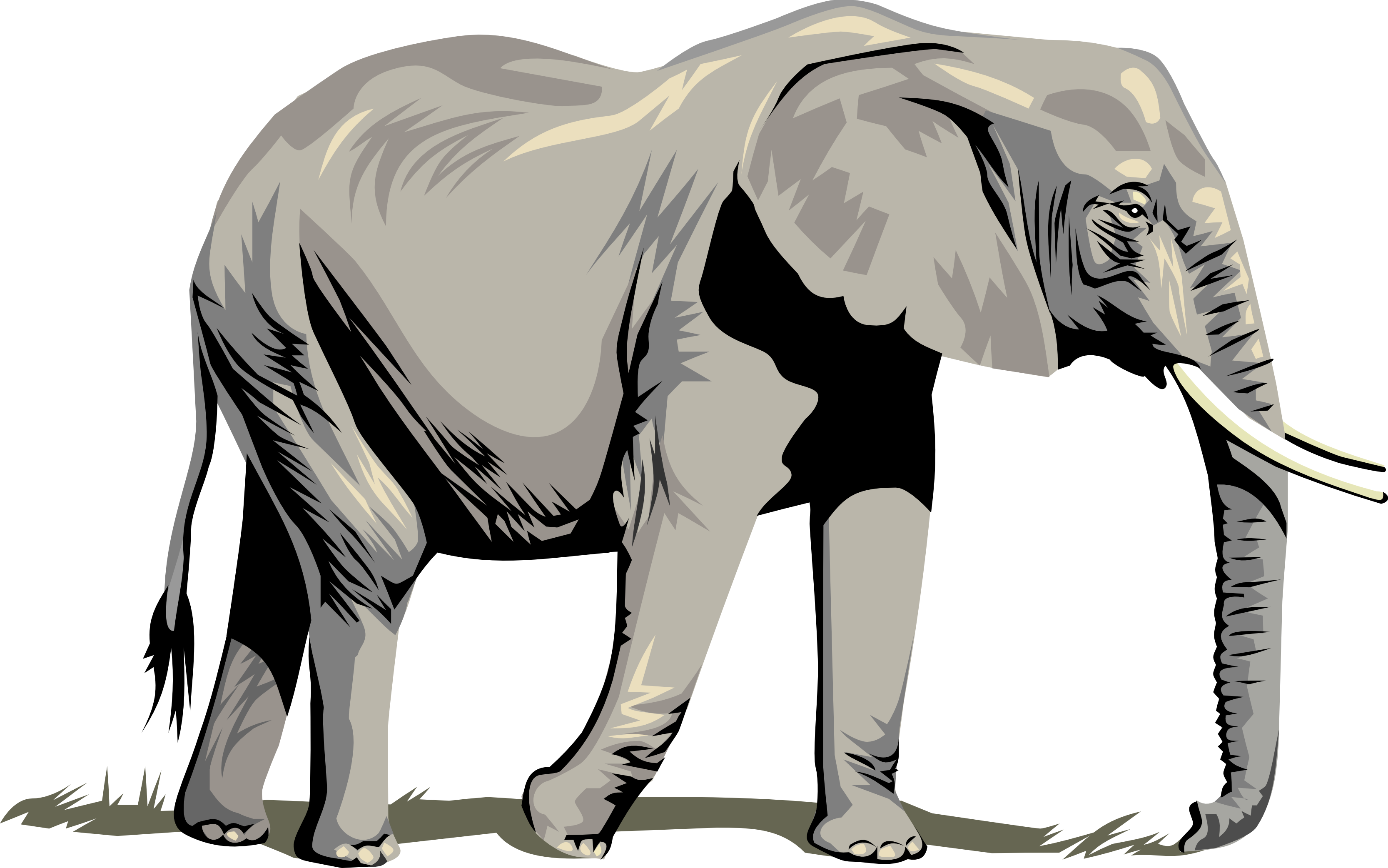 Pin by Jeffrey Bohncke on Elephant