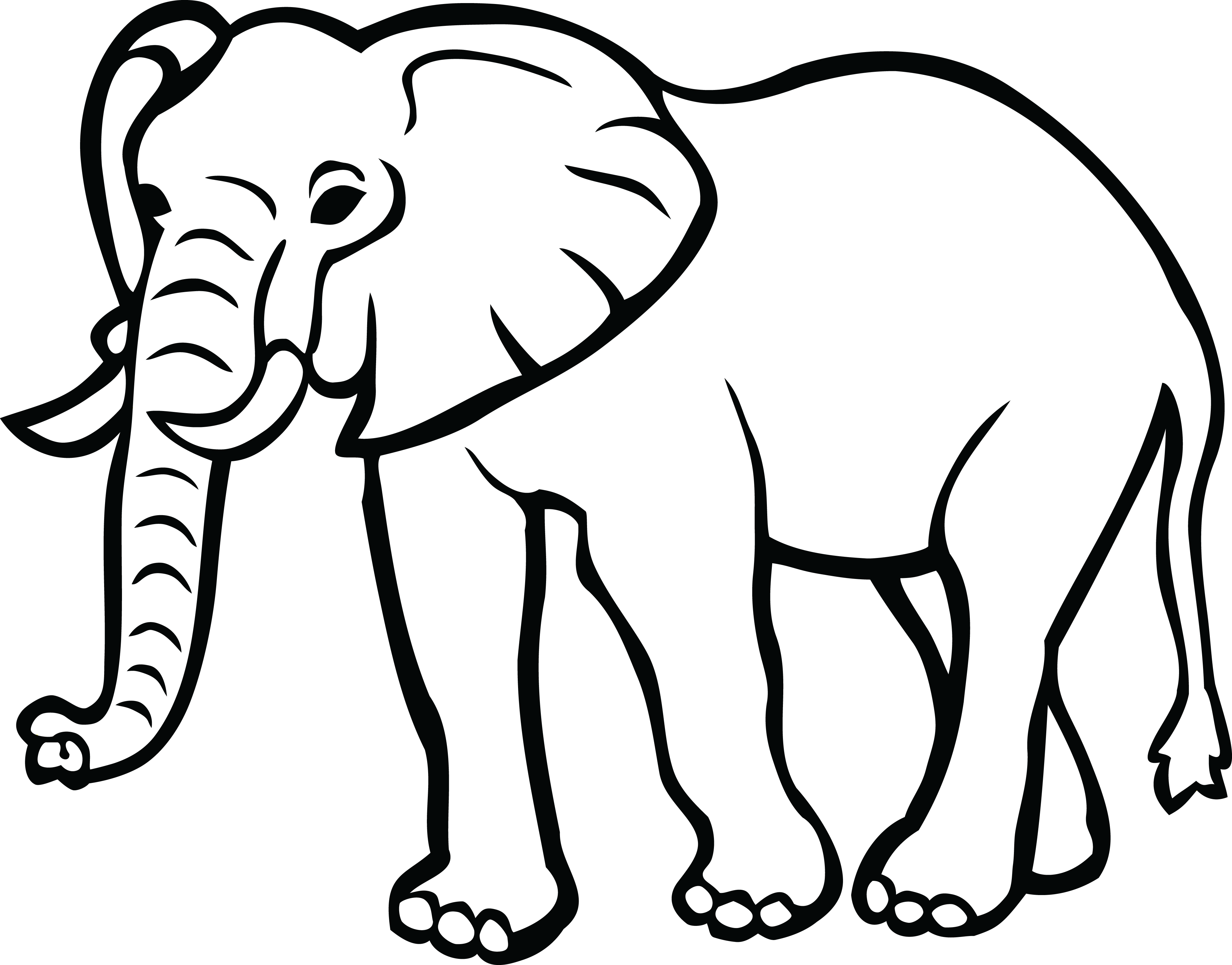 Elephant Black And White Png
