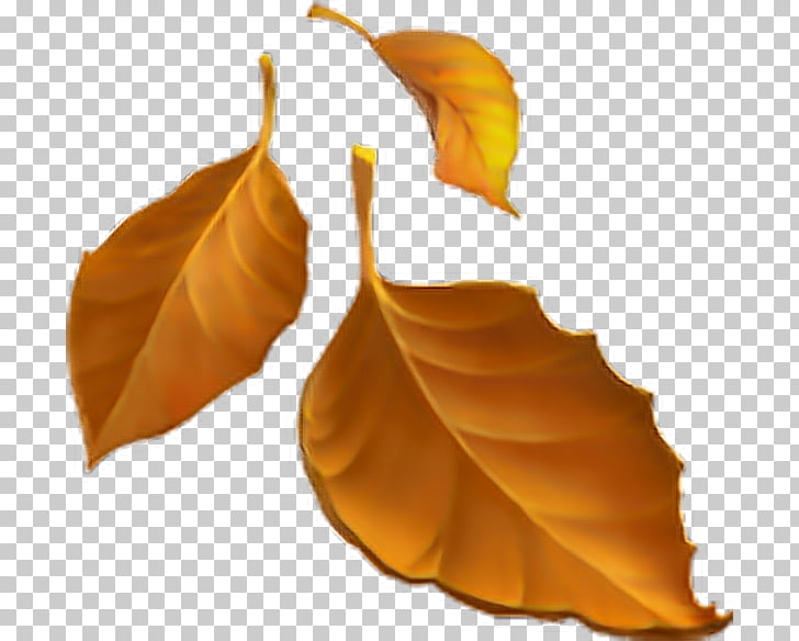 Emojipedia Autumn leaf color Autumn leaf color, Emoji PNG