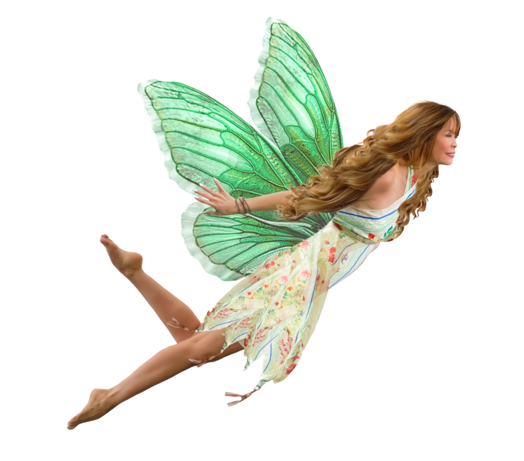 Free fairy png.