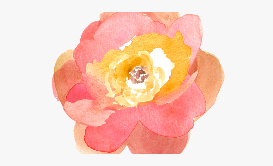 Peach flower clipart.