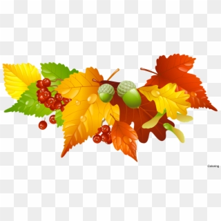 Free Fall Leaves Clipart PNG Images