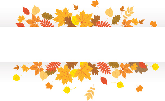 Autumn clipart banner, Autumn banner Transparent FREE for