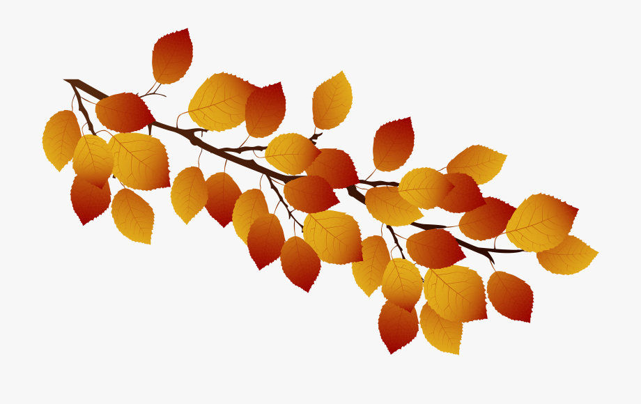 Transparent autumn tree.