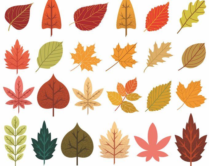 free fall leaves clipart branch