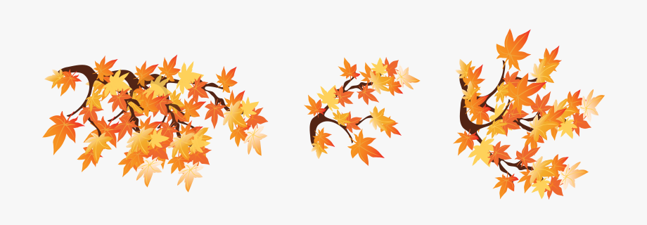 Fall clipart branch.
