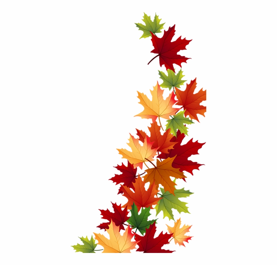 free fall leaves clipart clear background